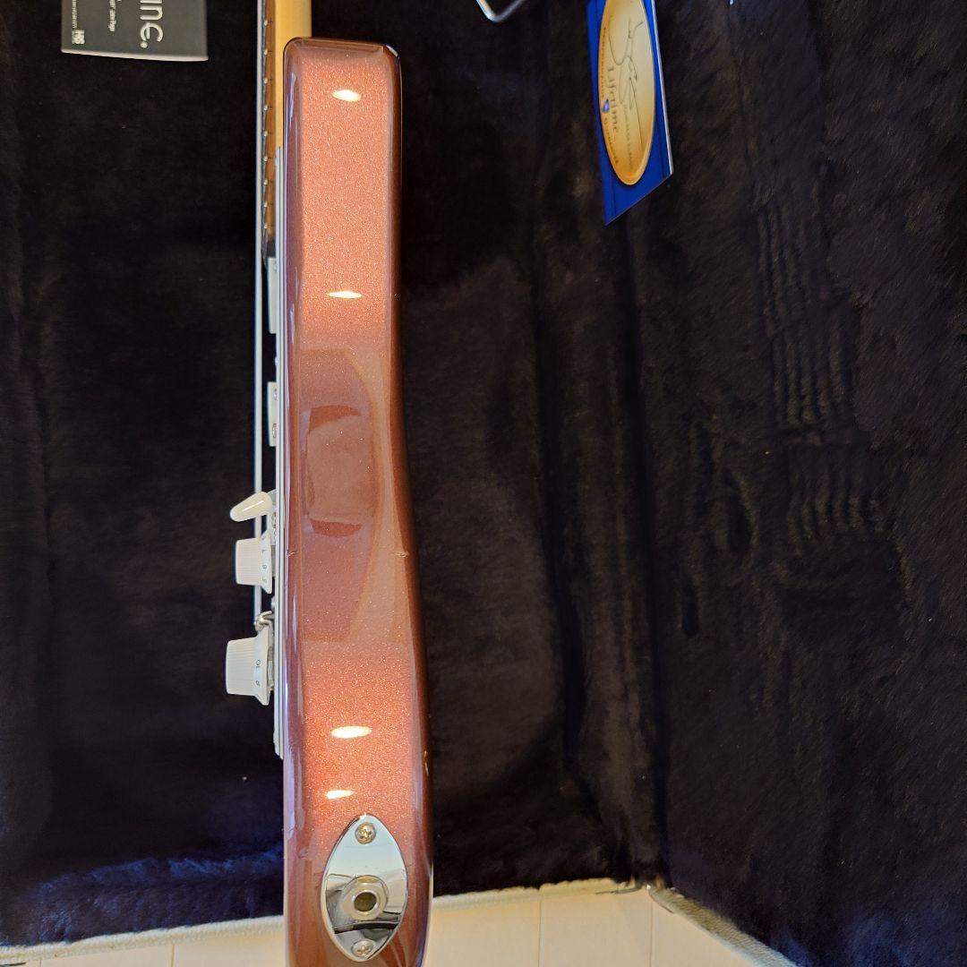 John Page Guitars 日本製 限定品