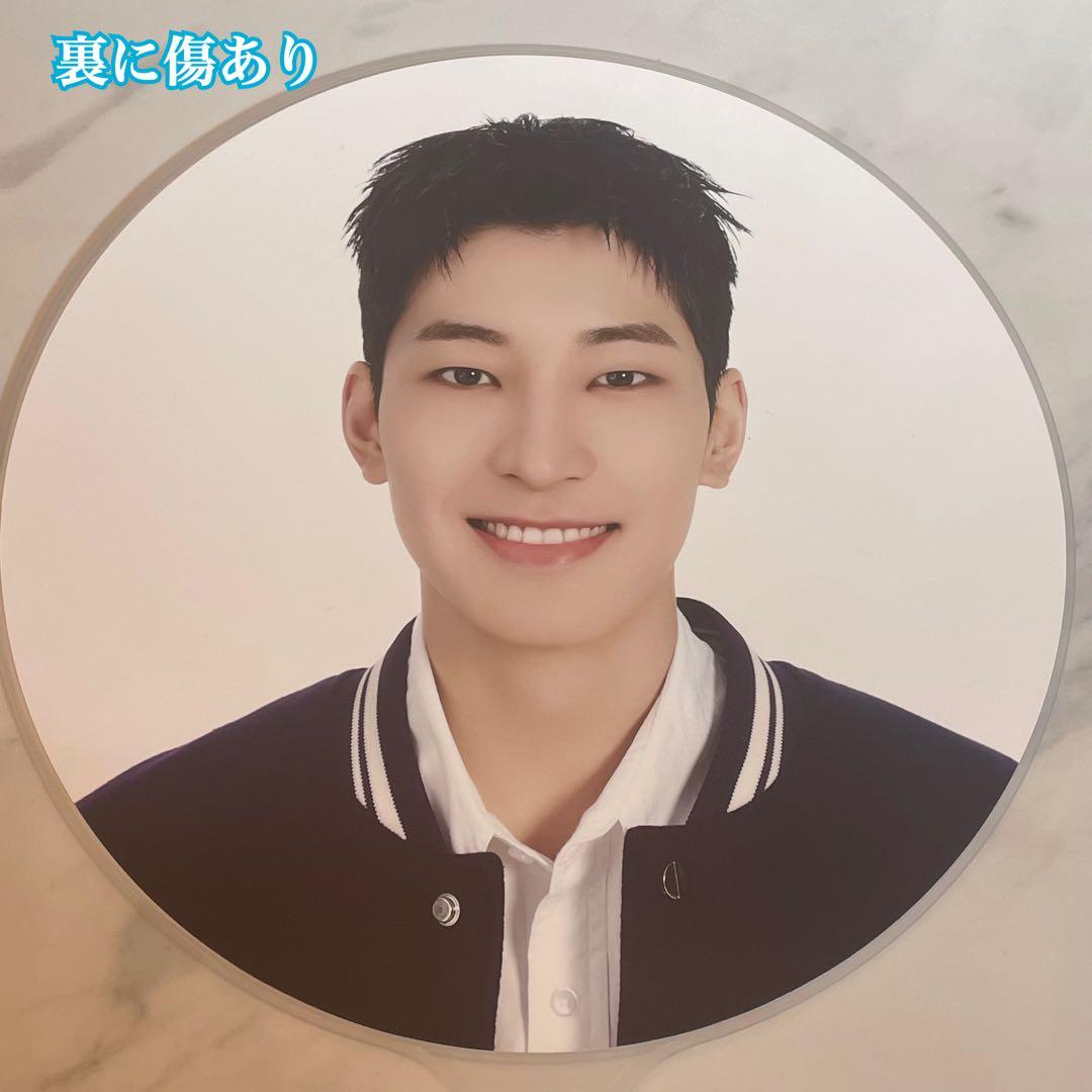 SEVENTEEN うちわ IMAGE PICKET まとめ売り ウォヌ 公式