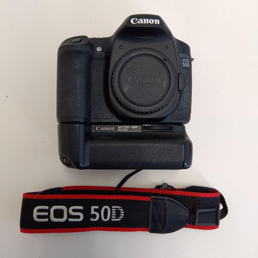 奈良美智Tシャツ2014 ルースターズ フジロック