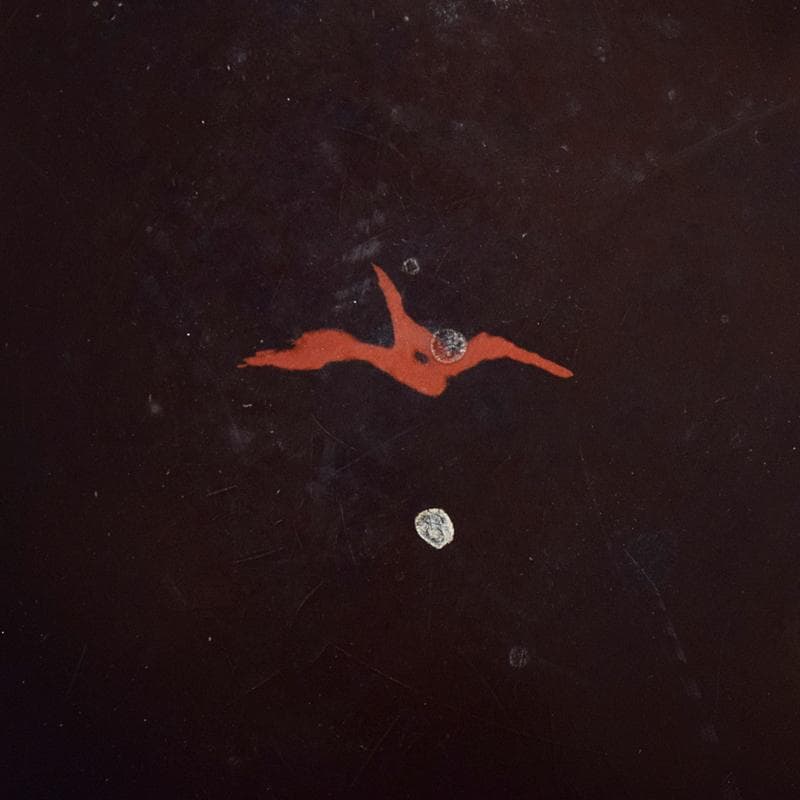 根来漆 金銀蒔絵 蟹文椀 時代箱付 M R7922