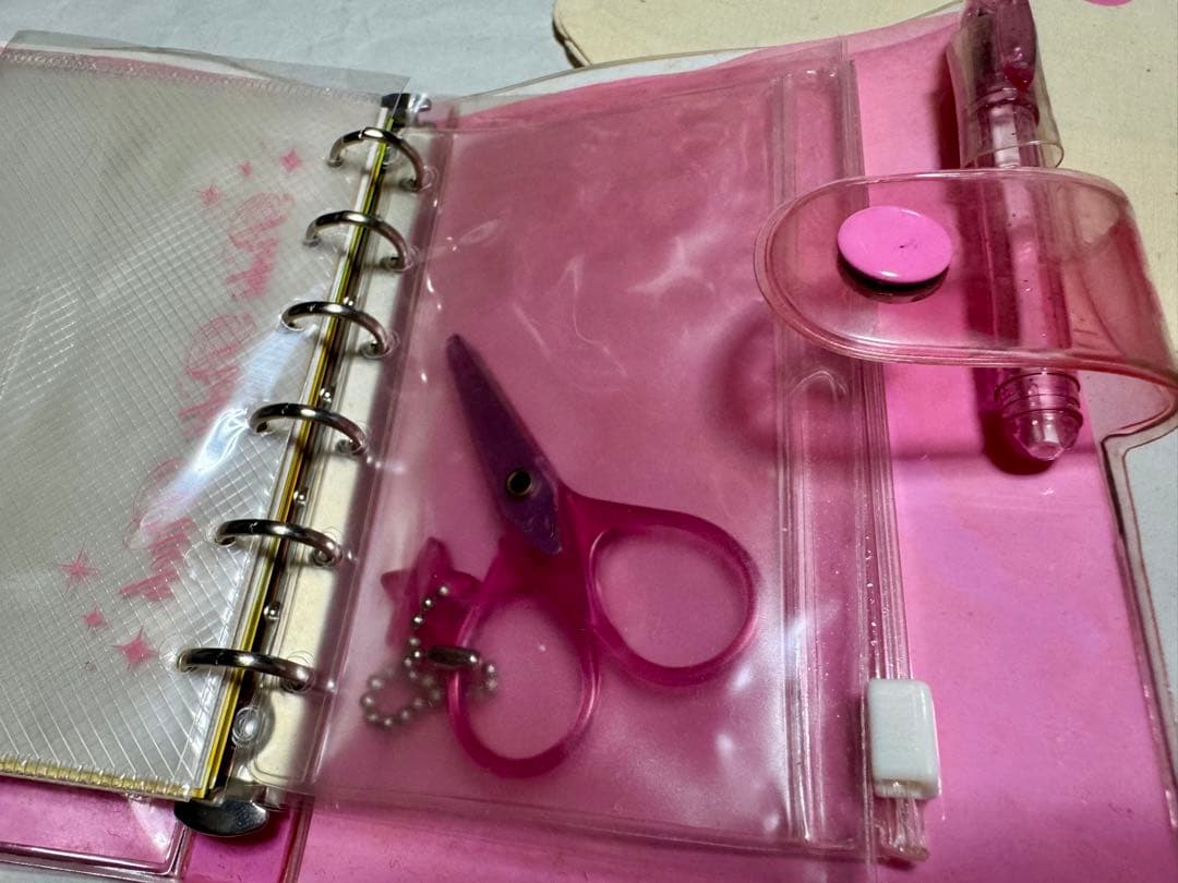 ぴちぴちピッチ なかよし 応募者全員サービス ビニールバッグ