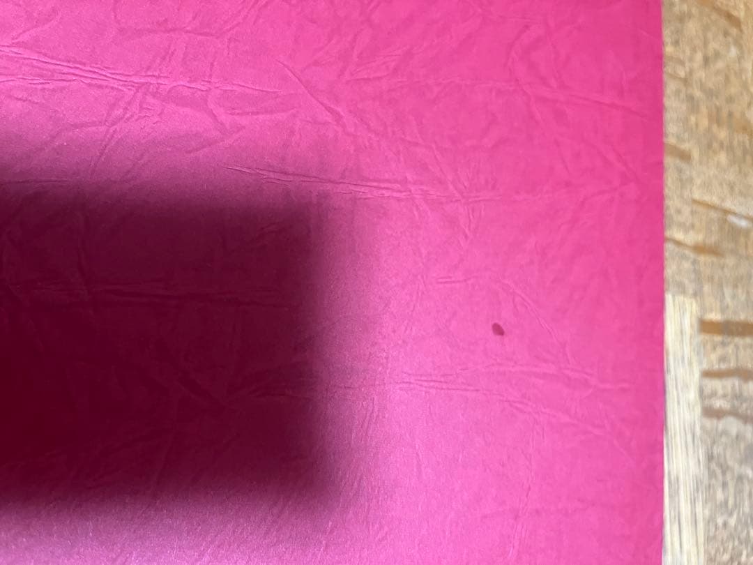 幼女戦記　限定100枚　直筆サイン入り　描き下ろしアートグラフ