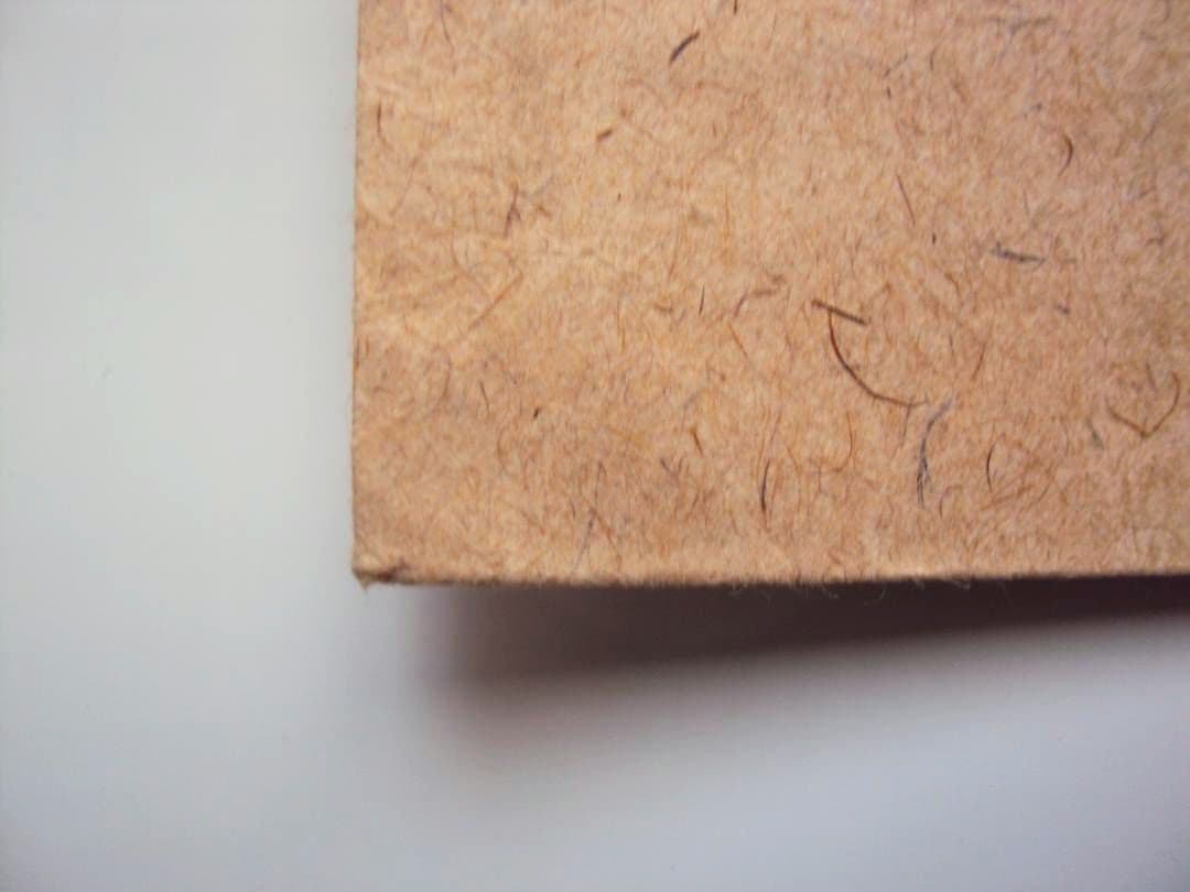 レッドウイング アイリッシュセッター 封筒 紙製 レア 約27cm×約22cm