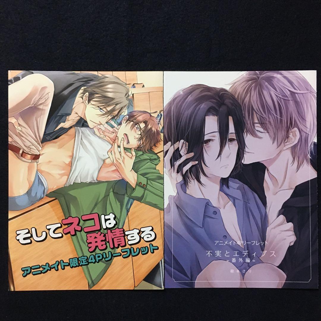 アニメイト限定4Pリーフレット・送料込