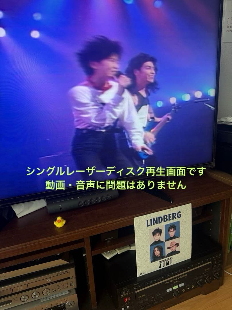 LD/CD動作品】SHARPレーザーカラオケプレーヤー マイク・リモコン付