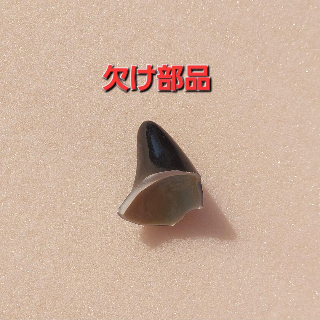 ウランちゃん特大フィギュア約50cm ATS刻印入り - メルカリ