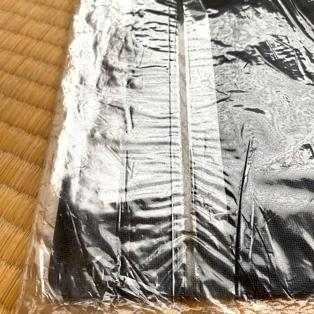 【未開封】セイヴァー　ハーフプレイマット　アジアチャンピオンシップ2010