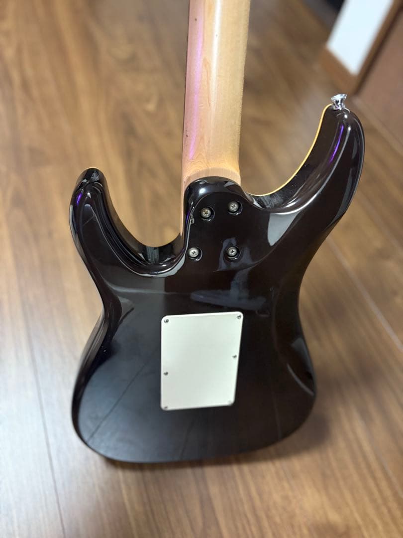 Shecter sd-2-24-bw mod｜ギター Shecter sd-2-24-bw mod Schecter SD-