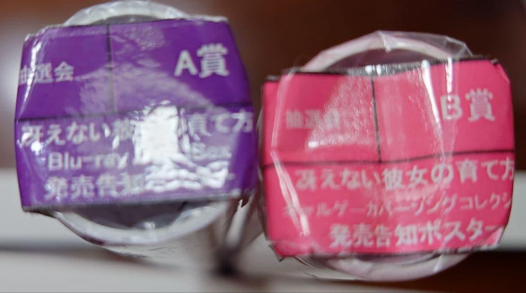 冴えない彼女の育てかた　告知ポスター2種　とらのあな　イベント抽選会　A賞　B賞