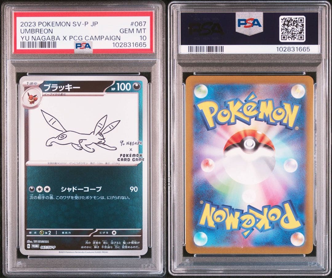 welcome! nagaba ブラッキー PSA10