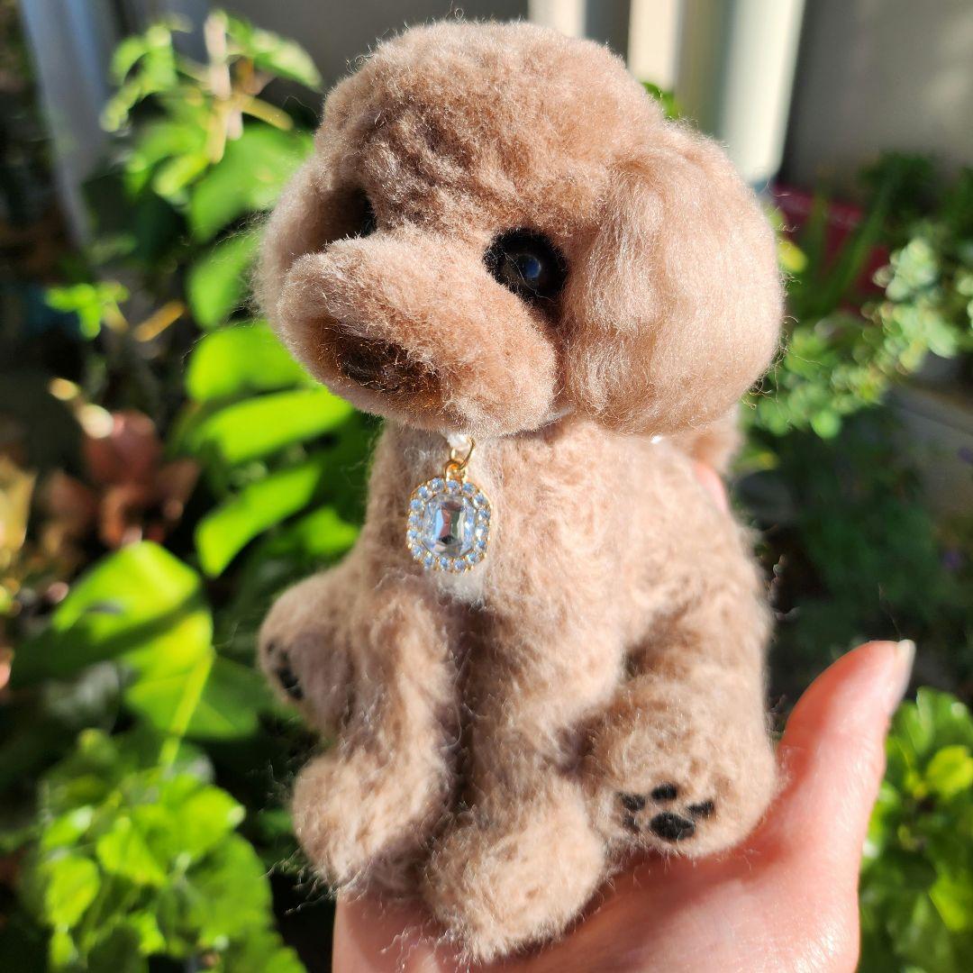 お迎え決まりました♥️トイプードル❤️羊毛フェルト