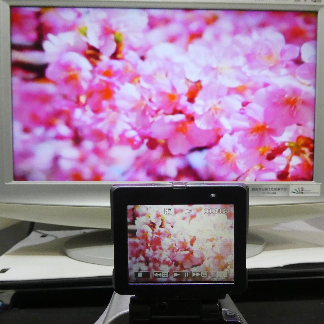 美品・動作品ソニー DCR-IP220 MicroMVビデオカメラ DVD化に