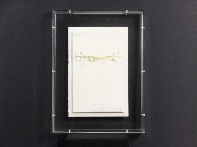 現代アート 湯浅望　直筆サイン『DANCE No2』水彩画 2024年0718B