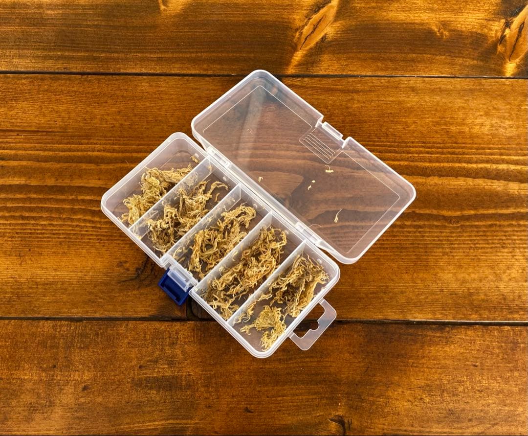 クワガタ採集セット camo柄 オリジナル掻き出し棒 デジタルノギス 採集