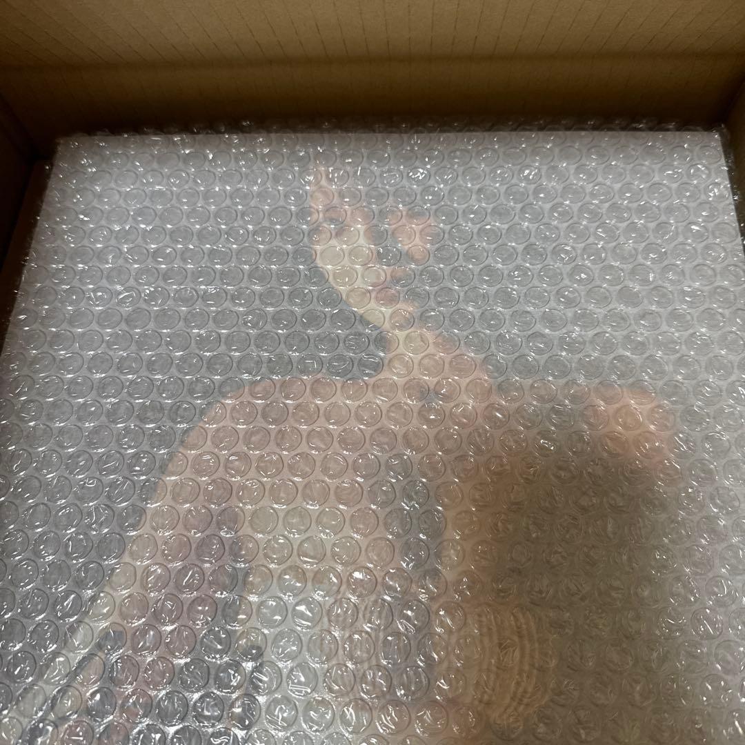 新品】新谷姫加 直筆サイン入り写真パネル (A3サイズ) 限定品