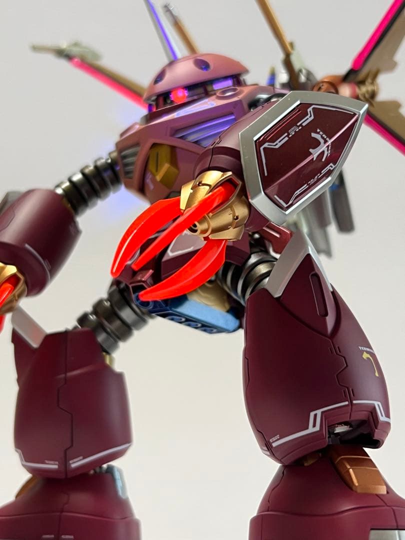 HGCE ズゴック SEED FREEDOM Ver. 塗装完成品 CAセット