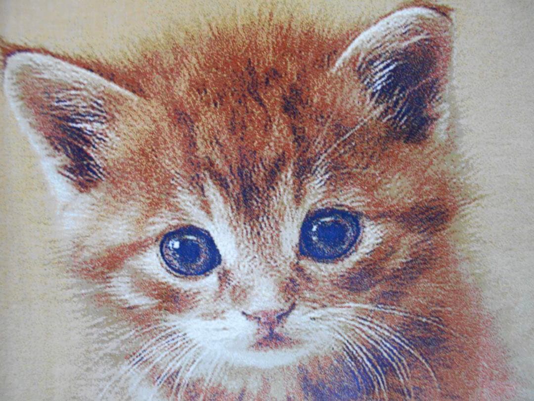 225万ノット！ピクチャーカーペット 額縁付き！50×70cm -191301