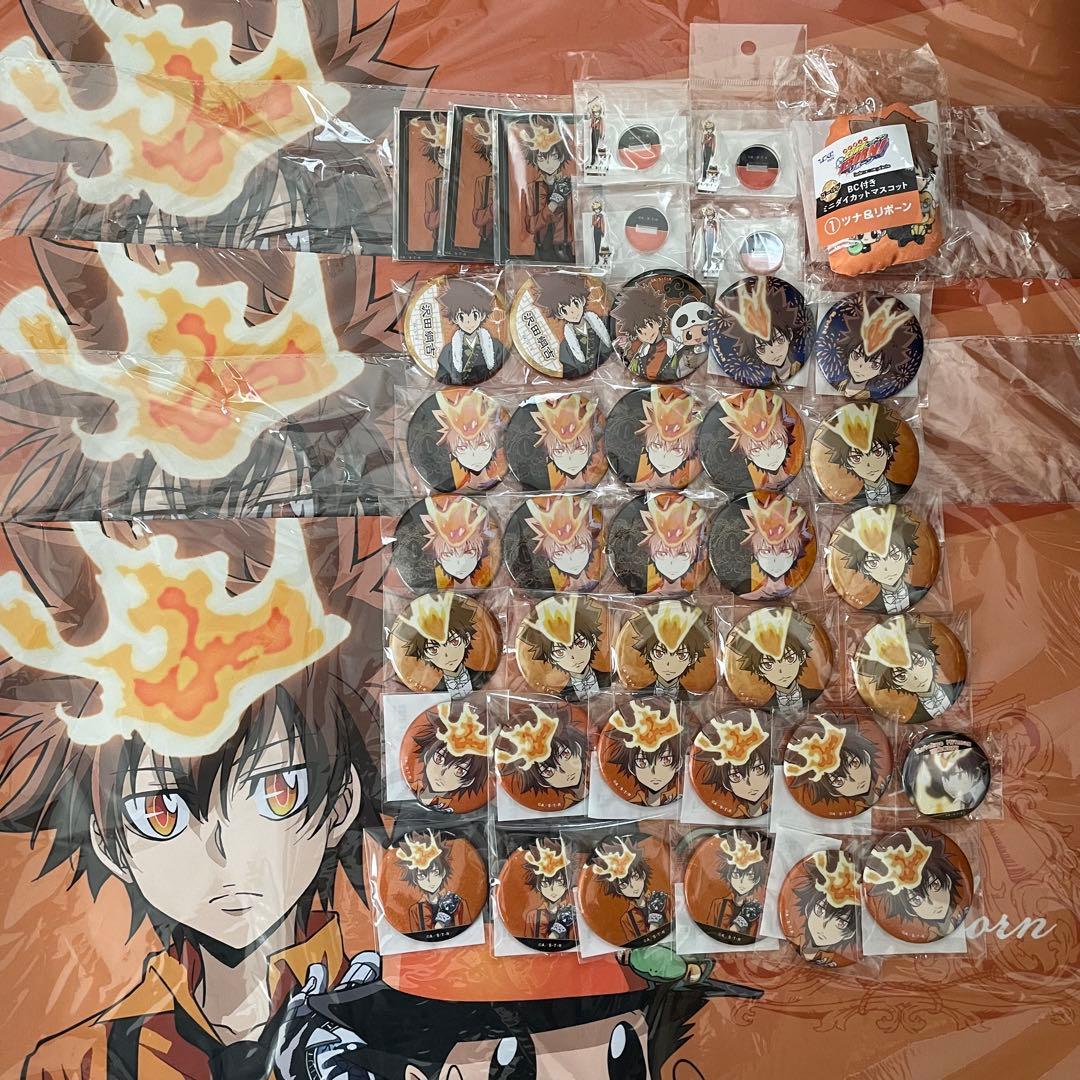 家庭教師ヒットマンREBORN! 沢田綱吉 缶バッジ まとめ売り 未使用 家庭教師ヒットマンREBORN 激推し缶バッジコレクション vol 2