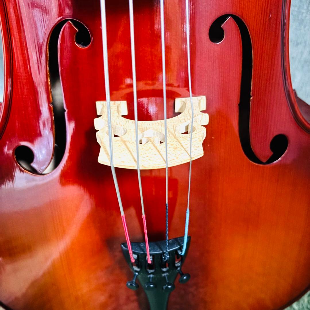 カルロ・ジョルダーノ　チェロ　1/2 SC-90L Carlo giordano