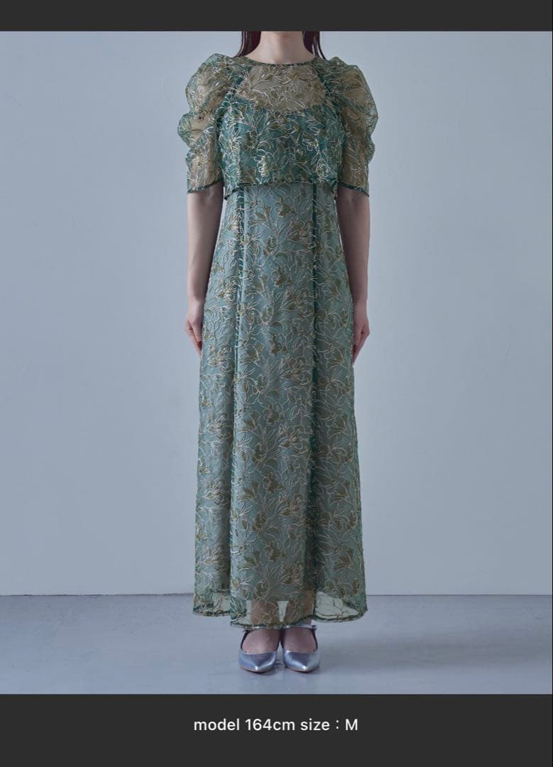 刺繍レースレイヤードドレス