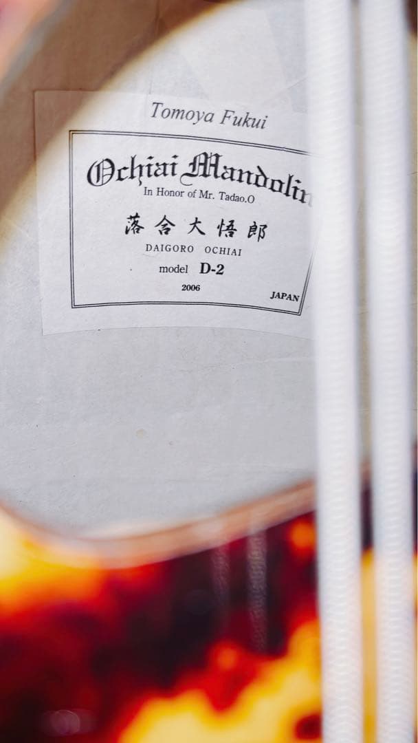 【美品 メンテ済】落合大悟郎 マンドラ D-2 最高級 岩本ケース付