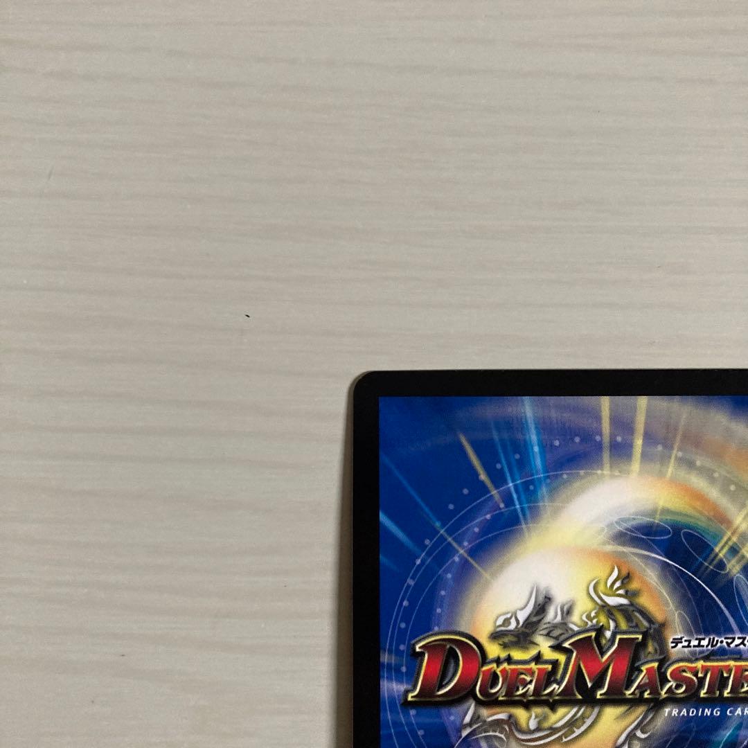 神聖龍 エモーショナル・ハードコア エモーショナルハードコア 金トレジャー