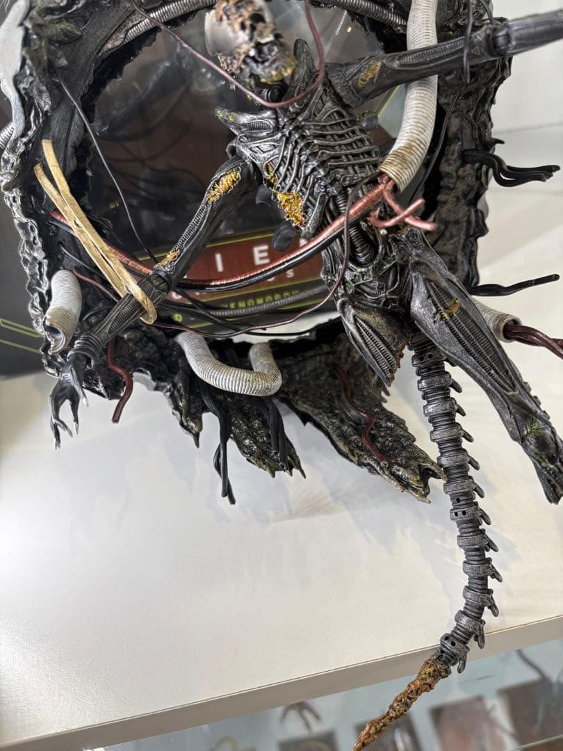 ネカ　エイリアン　ロムルス　サスペンデッド　ラボ　ゼノモーフ