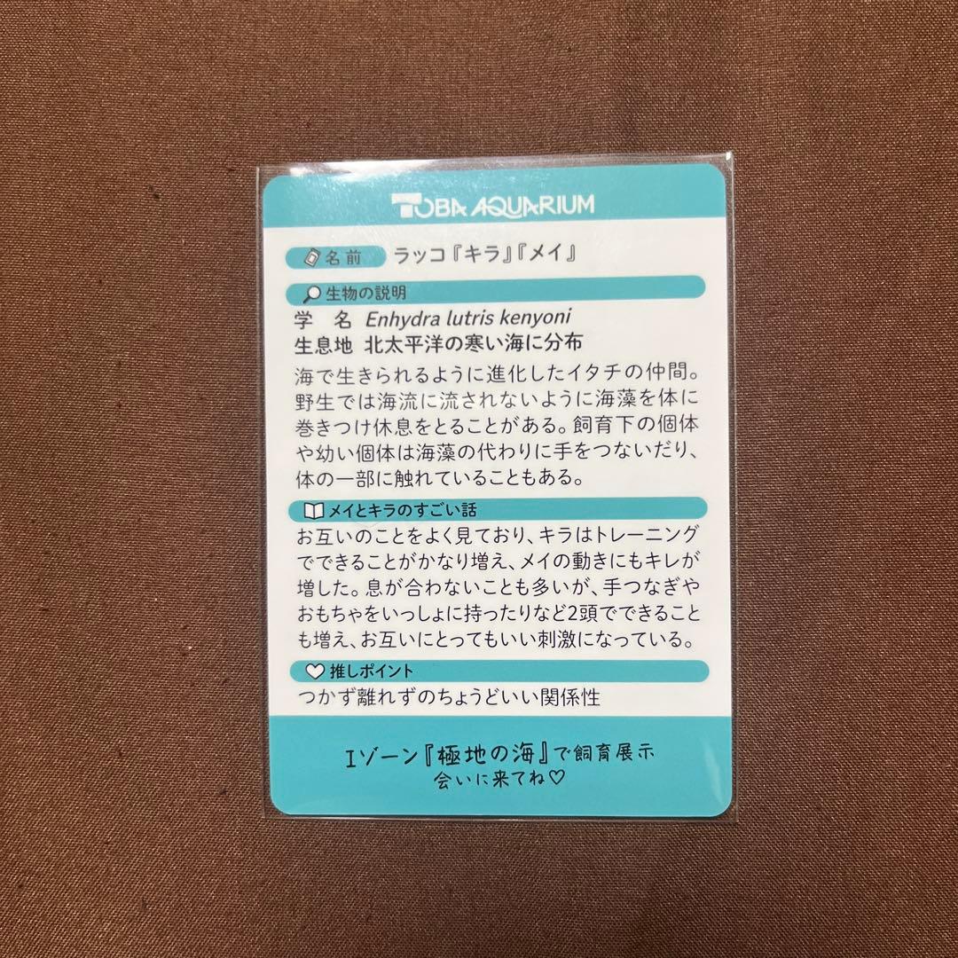 鳥羽水族館 コレクションカード レア ラッコ