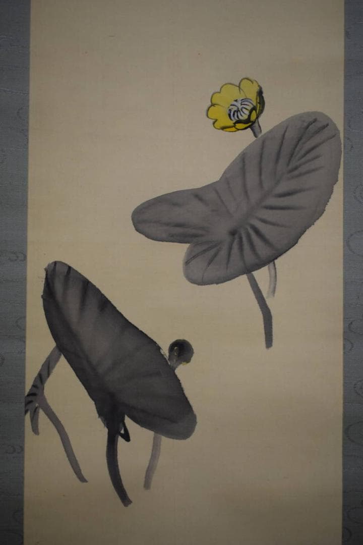 真作/庭山耕園/河骨図/コウホネ図/桐題箱付/布袋屋掛軸HI-266