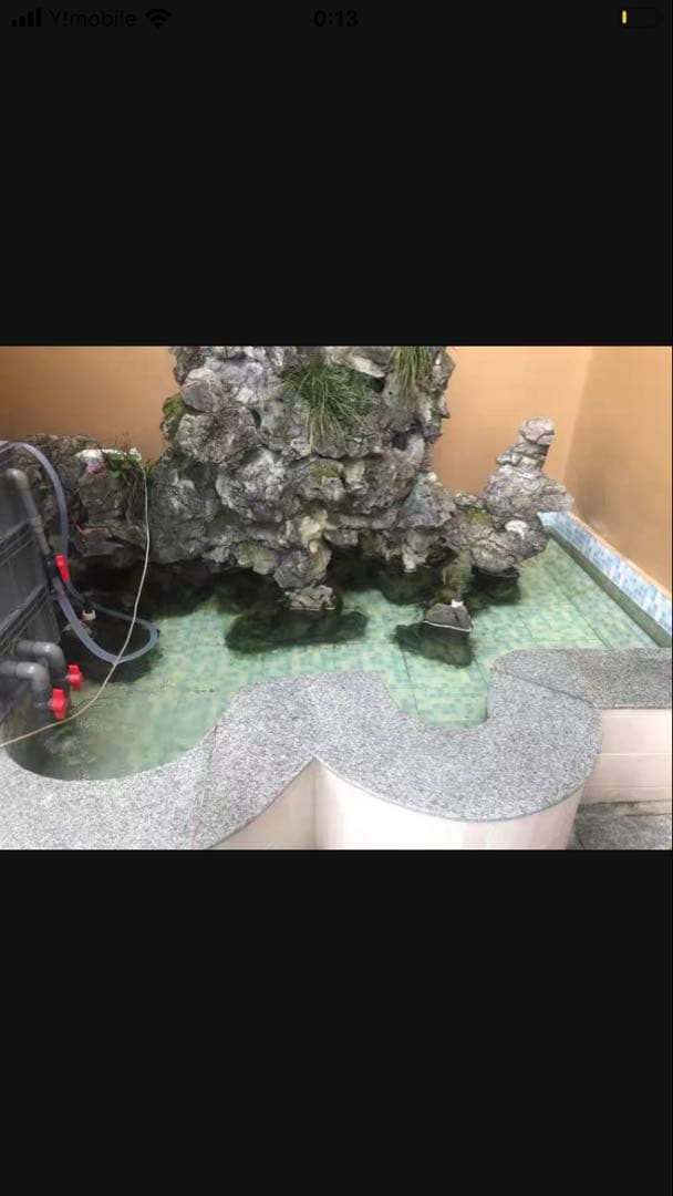 三段式濾過装置大型水槽用沈殿物理生物一体型濾過槽外部式 器水槽濾過