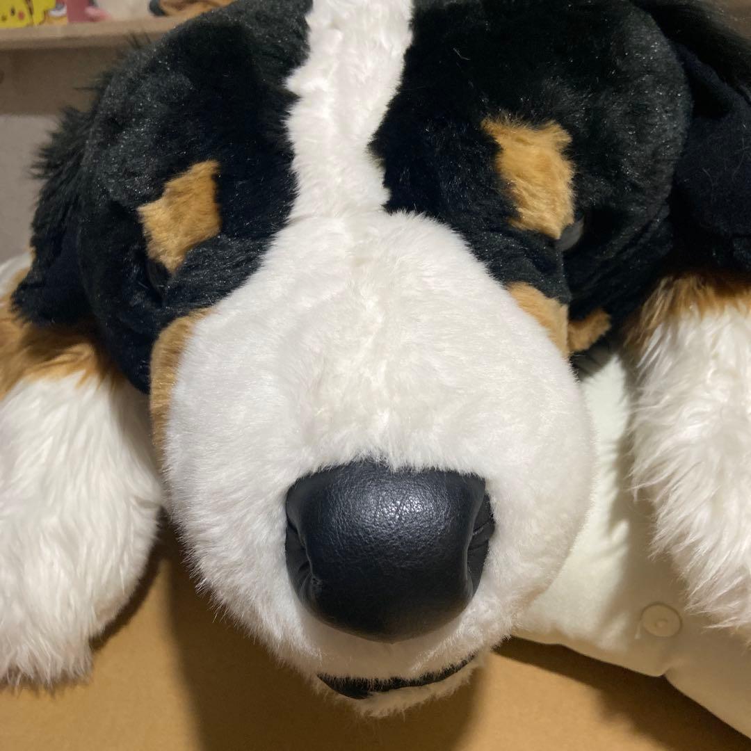 バーニーズ・マウンテン・ドッグ　ぬいぐるみ