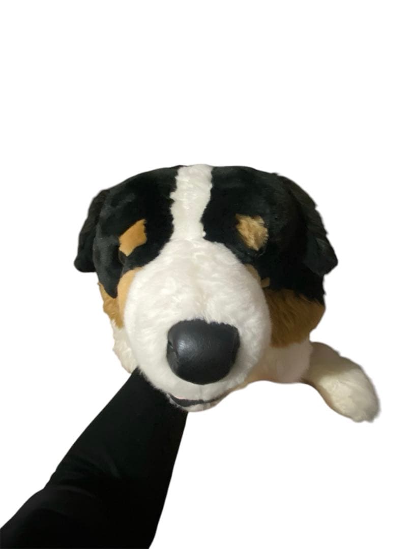 バーニーズ・マウンテン・ドッグ　ぬいぐるみ