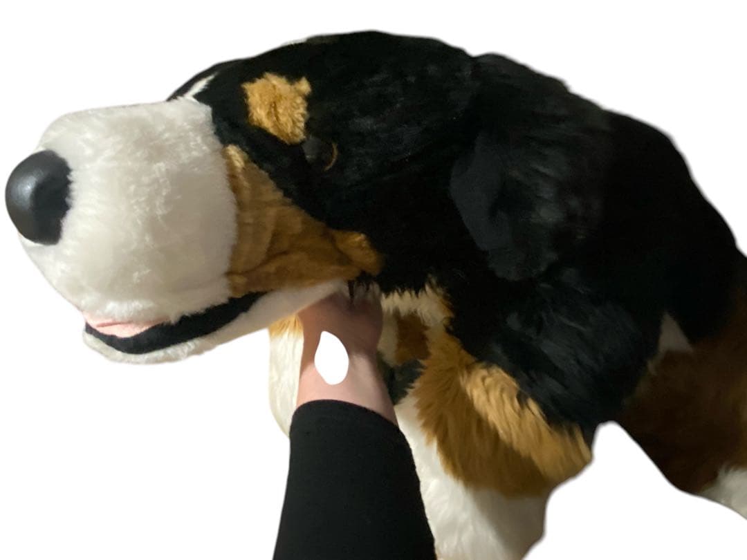 バーニーズ・マウンテン・ドッグ　ぬいぐるみ