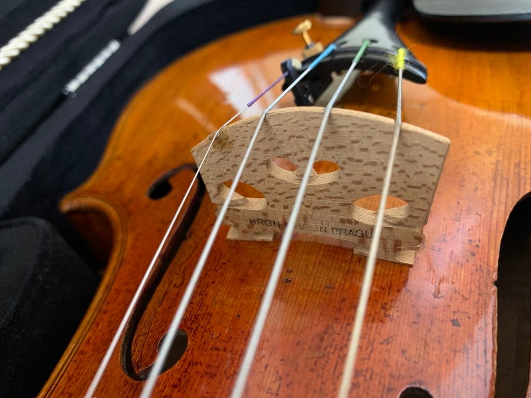 チェコ 工房製 4/4 バイオリン 裏板一枚板