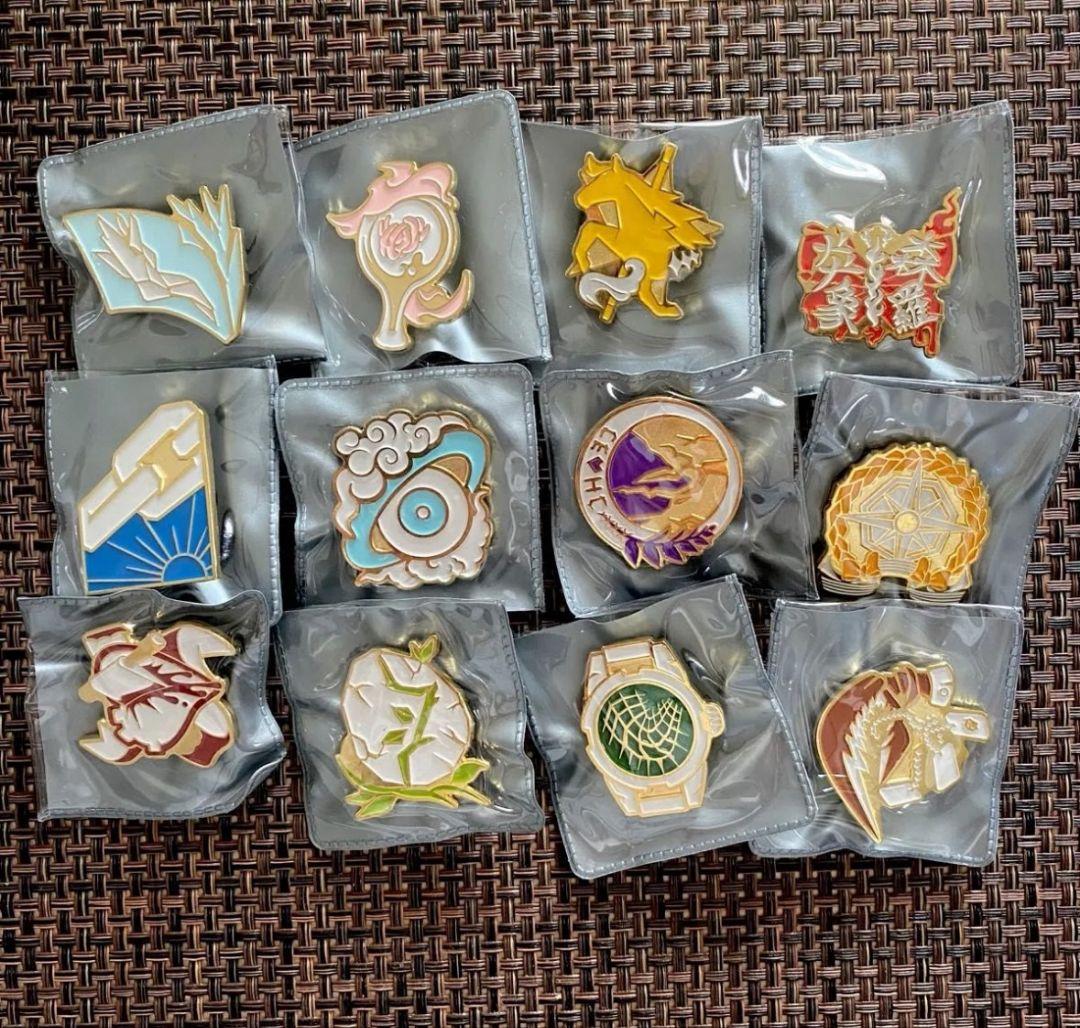 リンバスカンパニー　ピンバッジ12枚セット リンバスカンパニー囚人 ピンバッジ12個 コンプリートセット - メルカリ