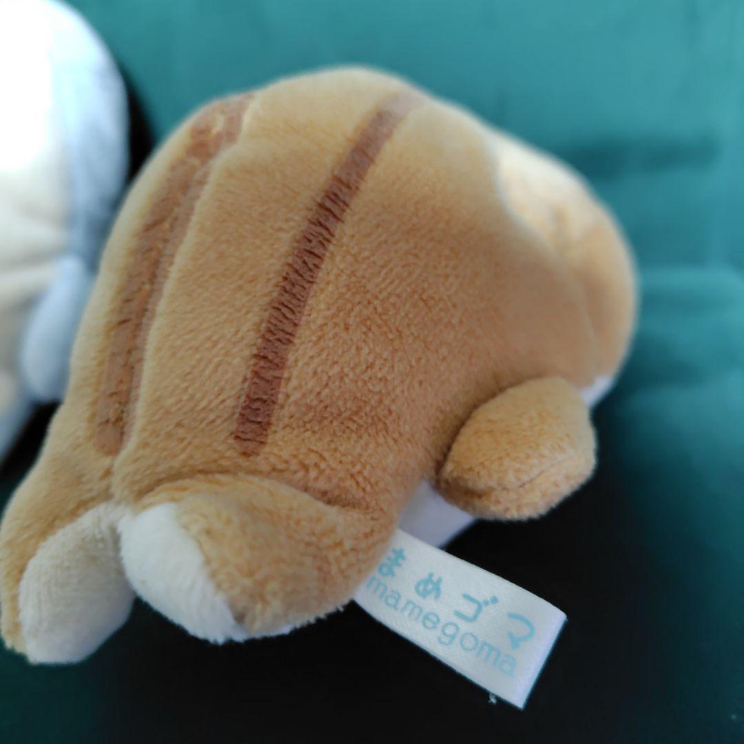 まめゴマ　サンエックス　レア