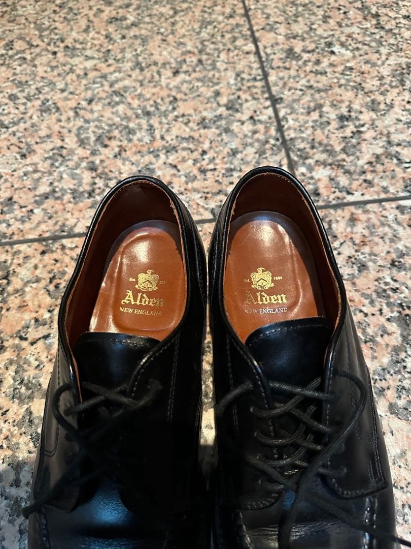 ALDEN 961 Vチップ