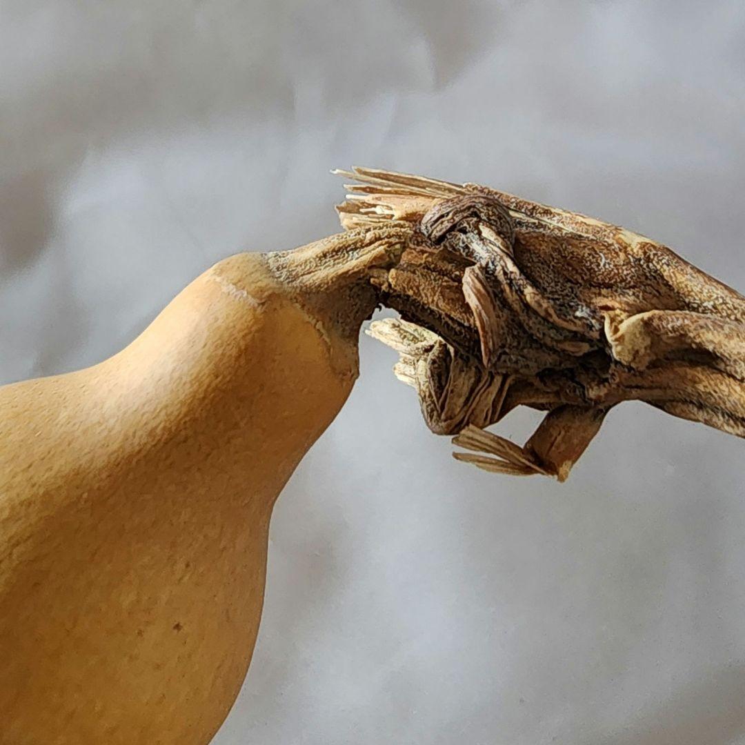 山河令 Rua娃吧 15cm ぬいぐるみ 温客行 周子舒 温周