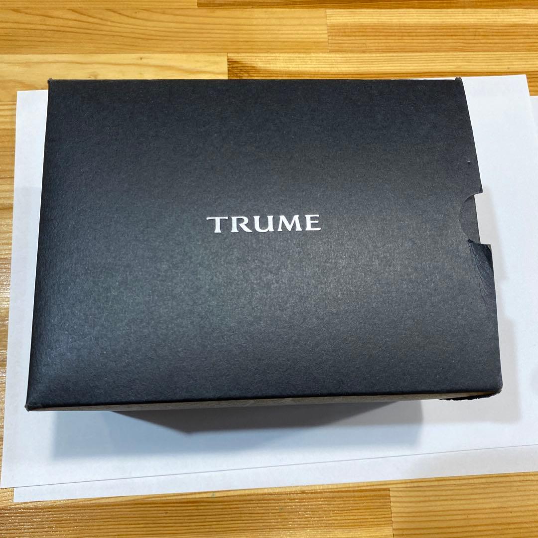 激レア　未使用品　定価23万円　SEIKO EPSON TRUME 腕時計