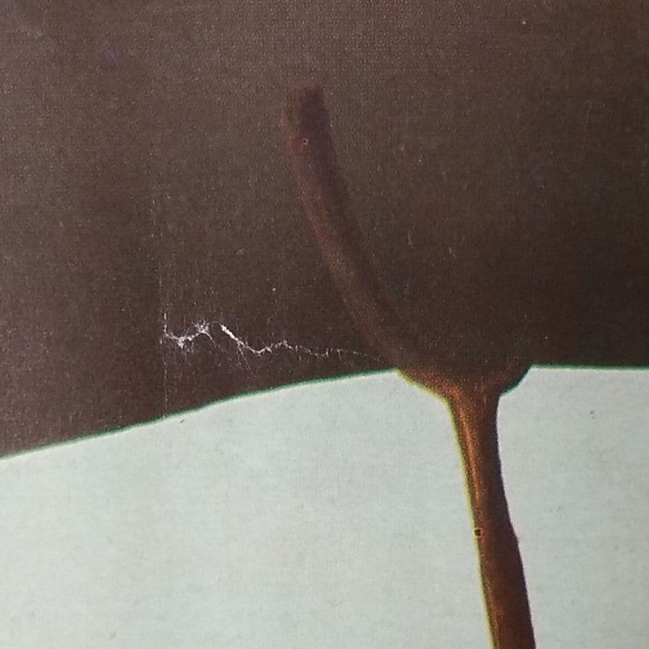 ダリの特大レアポスター(画題・SLEEP)