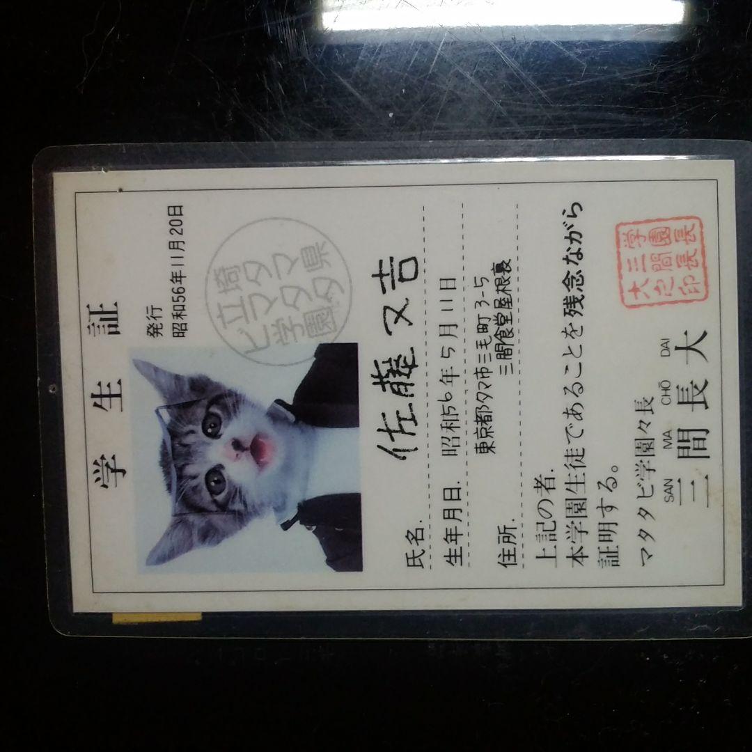 なめ猫カード 価格交渉受付中 なめ猫カード 価格交渉受付中 なめ猫カード - メルカリ なめ猫カード