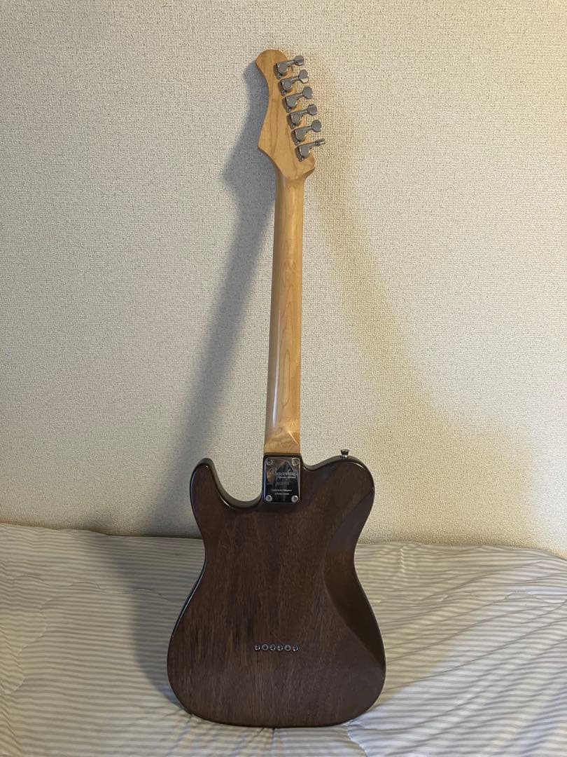 ギター Bacchus CraftSeries TACTICS PLD(CHG/OIL)