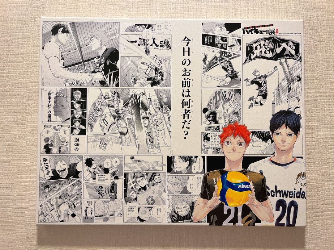 ハイキュー!!展 フルカラーBIGアートボード 日向翔陽&影山飛雄 大人