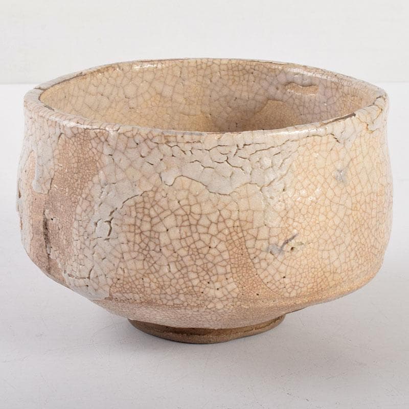 茶道具　志野焼　茶碗　仕覆付　表千家十三代即中斎極箱　D　R4955