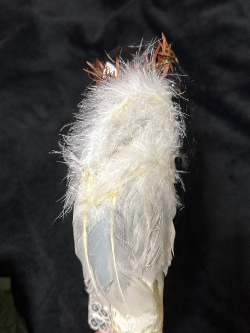 中古 LIVING DEAD DOLLS RAIN