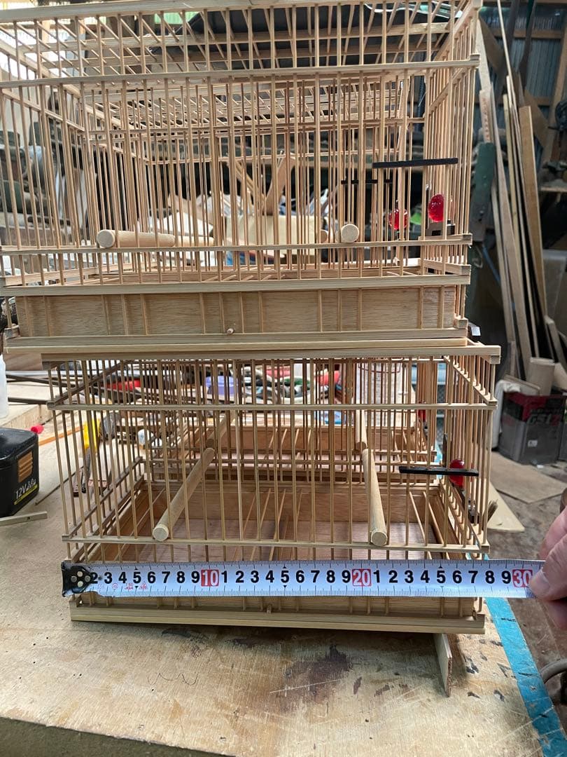 メジロ籠 鳥籠（メジロ） 🔴メジロが次々と入る【魔法の鳥籠 】Non