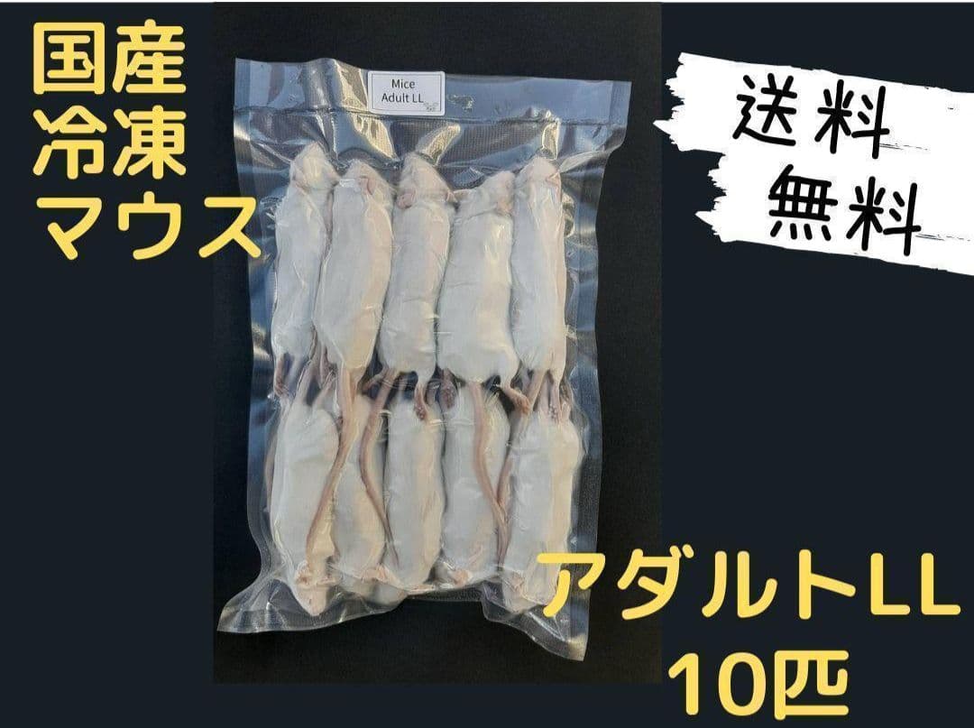 国産 冷凍マウスアダルト L 10匹 (送料無料一部地域発送不可) - メルカリ