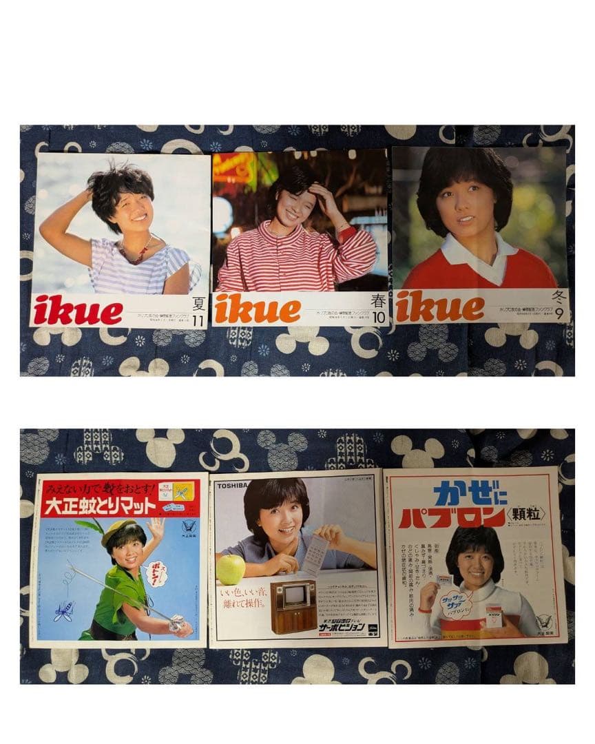 【貴重】榊原郁恵　パンフレット　グッズ　ブロマイド