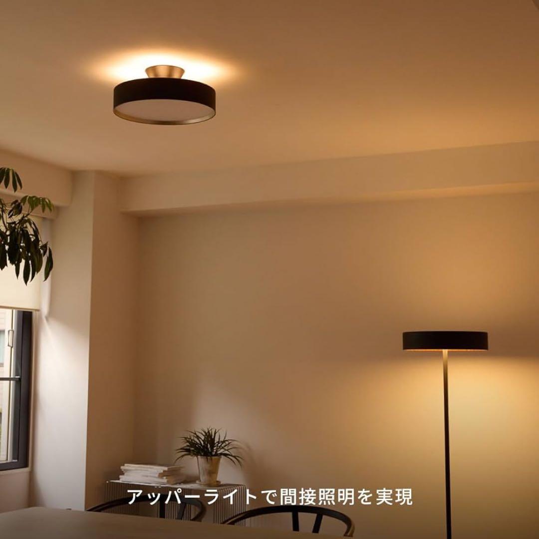 シーリングライト・天井照明 ART WORK STUDIO Glow 5000 -ceiling light