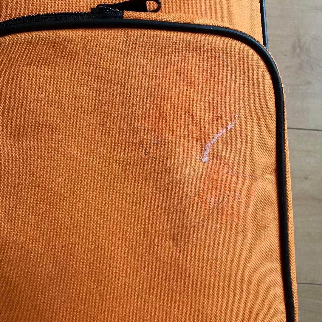 ニコラサンティ　バイオリン NSN-50 1/8 ケース付き